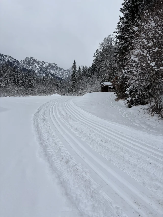 Gespurte Loipe im verschneiten Winterwald mit Bergen im Hintergrund